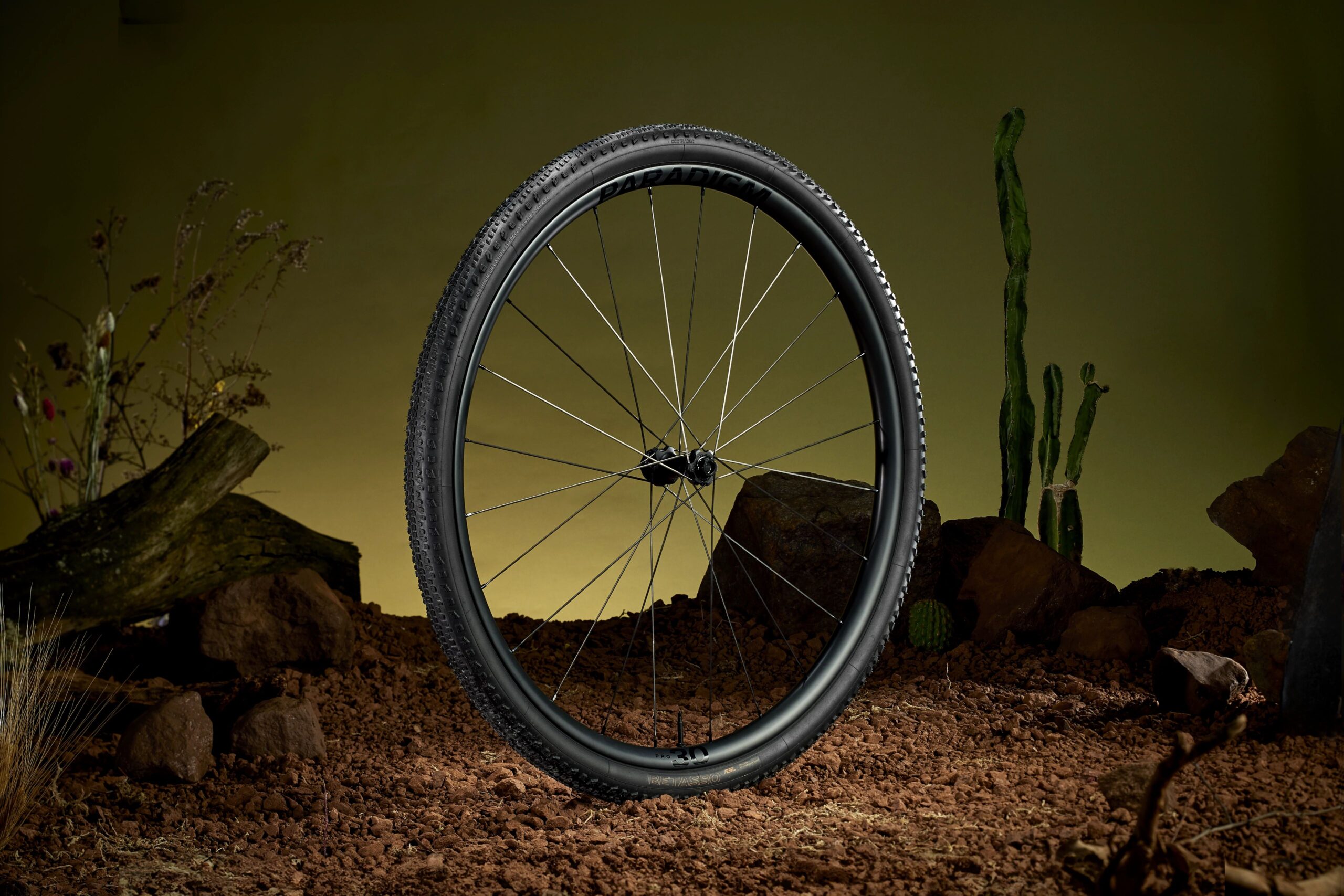 MY24_Betasso_Gravel_Tires_OrganicSocial_RSL_Full_Wheel_Alt_Angle